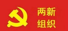 武汉大学两新组织党务干部培训班