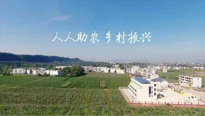 【乡村振兴】北京：批发市场进货平稳，商超适时加大备货量