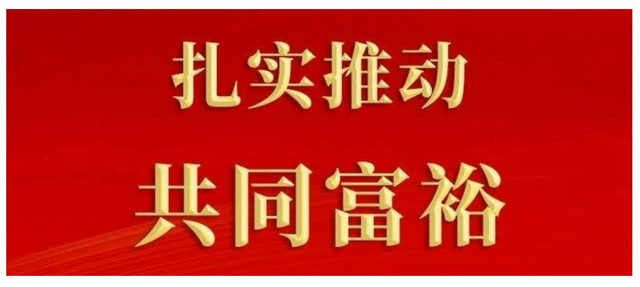 【共同富裕】学习大力推进中国式现代化心得体会